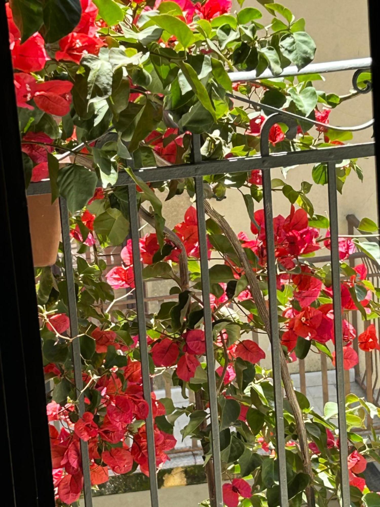 B&B L'Angolo Sulla Piazza Mirabella Imbaccari 外观 照片